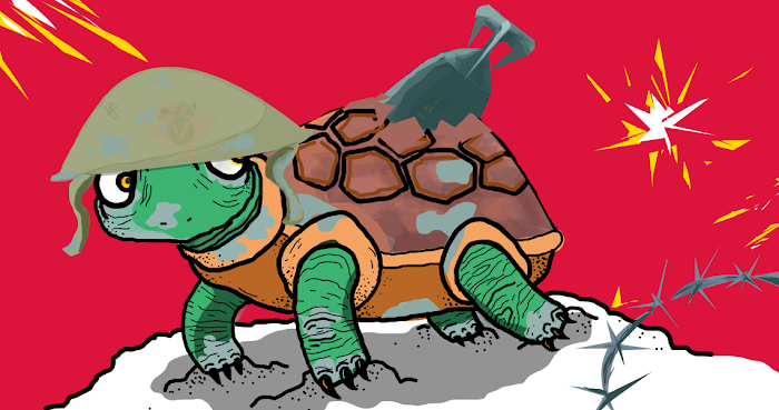 11. Give the Turtle a Shell