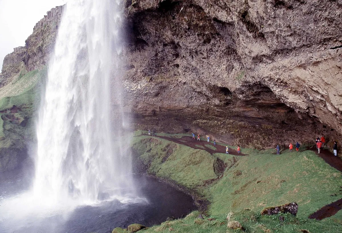 Iceland-saltmarsh2 - A saltmarsh in Iceland.