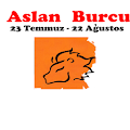 Aslan Burcu Yorumlar - Fal Apk