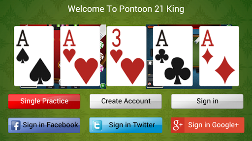 Pontoon 21 King