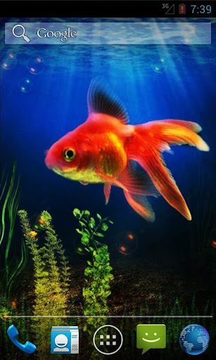 Goldfish Live Wallpaper