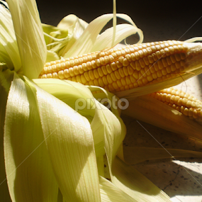Corns and Leaves in Sunlight by Anindya Saha - Novices Only Flowers & Plants