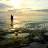 Morning Walk on the Beach by Kathy Rose Willis -  