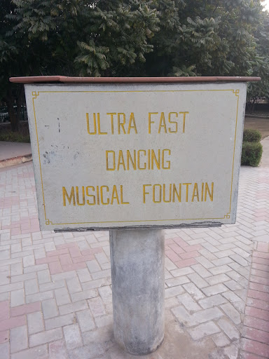 Ultra Fast Dancing Musical Fountains 
