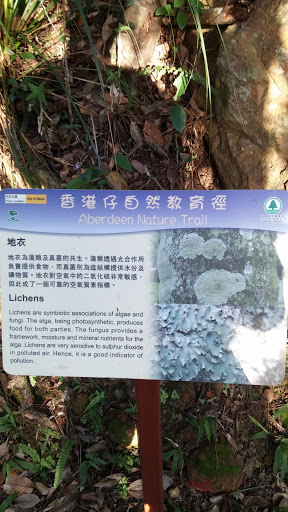 Aberdeen Nature Trail Lichens