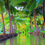 coconut trees lining the stream.. by Radhika Nair -  