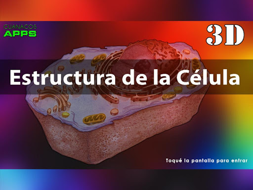 Estructura de la célula 3D