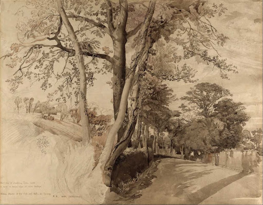 Trees in a Lane