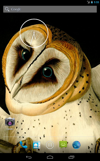 【免費攝影App】Audubon's OWLS HD+ Wallpaper-APP點子