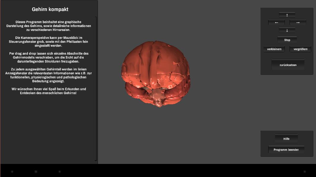 Brain 3D Screen 3
