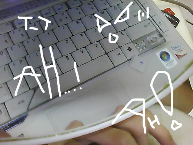 [Picture0006[3].jpg]