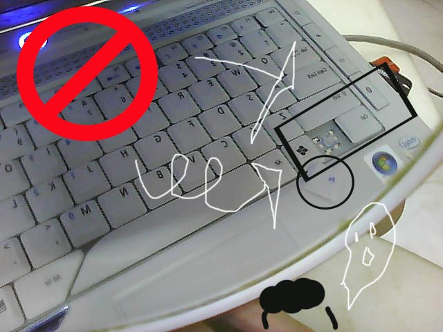 [Picture0005[3].jpg]