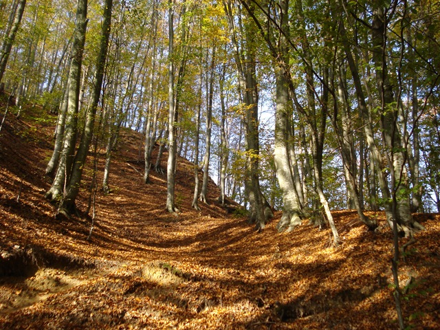 [DSC07282[1].jpg]