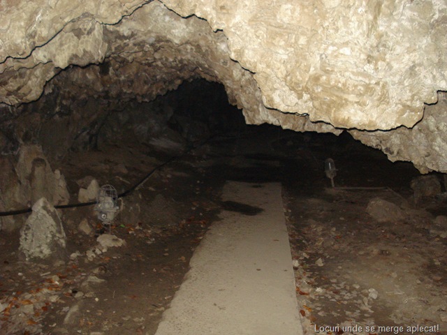 [DSC07313[24].jpg]