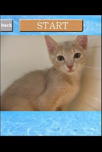 How to install puzzle Cat game2 1.0.2.2 unlimited apk for bluestacks