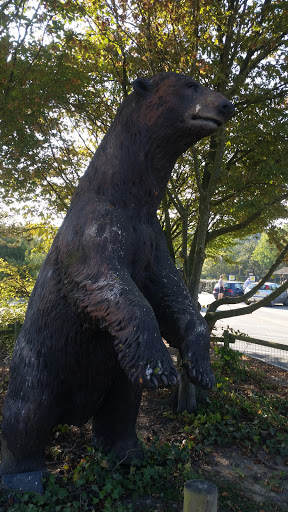 Big Bear, Davy Crocked