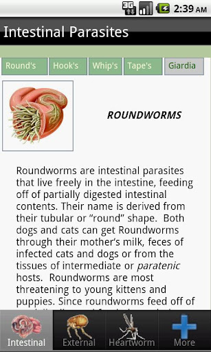 Parasites of Dogs and Cats