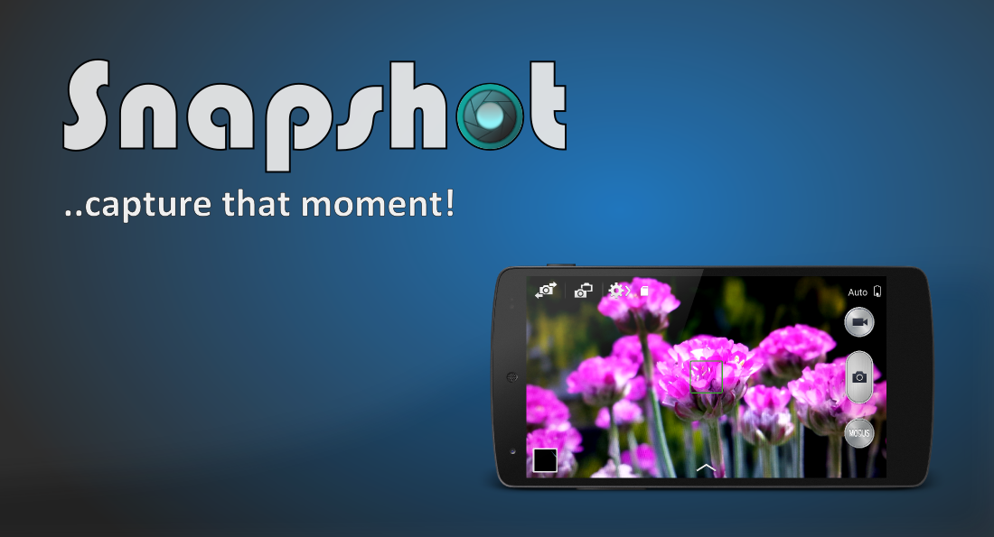    Snapshot- screenshot  