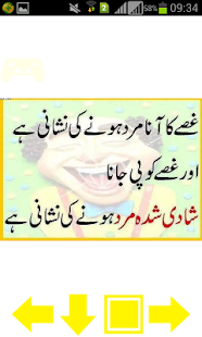 download Urdu Lateefay free
