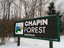 East Chapin Forest Reservation 