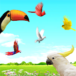 Sky Birds Live Wallpaper Free Apk