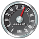 Speedo: 0 to 100 kph APK