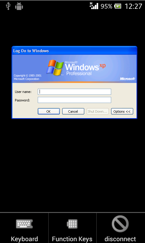 Remote Desktop Client Screen 2