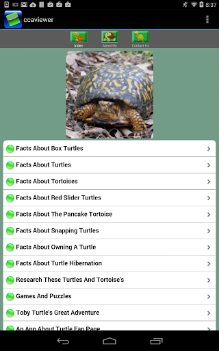 免費下載書籍APP|An App About Turtles app開箱文|APP開箱王