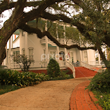 Louisiana Antibellum Home by Ron Olivier -  