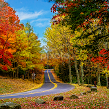 Country Roads - Colors of Fall by Deborah Felmey -  