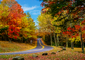 Country Roads - Colors of Fall by Deborah Felmey - Landscapes Forests