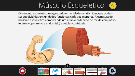 Contração Muscular - screenshot thumbnail