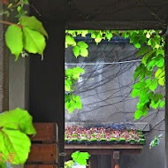 松園別館