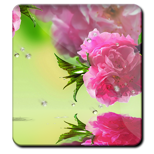 Essence of Romance HD LW Rain 個人化 App LOGO-APP開箱王