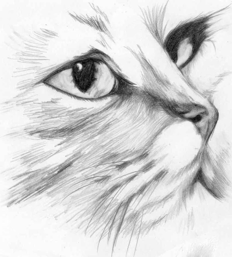 Belajar Desain Rumah Dengan Google Sketchup - Hontoh