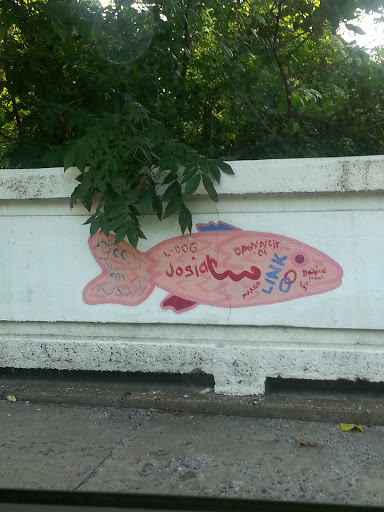 Pink Tagged Fish Mural