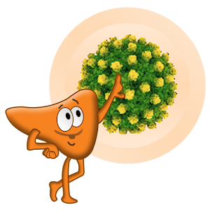Vibrant Liver Update 2.6