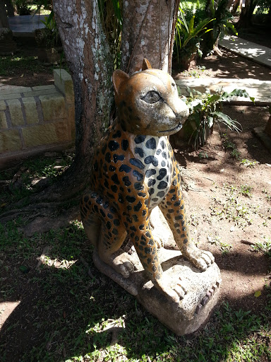 El Jaguar
